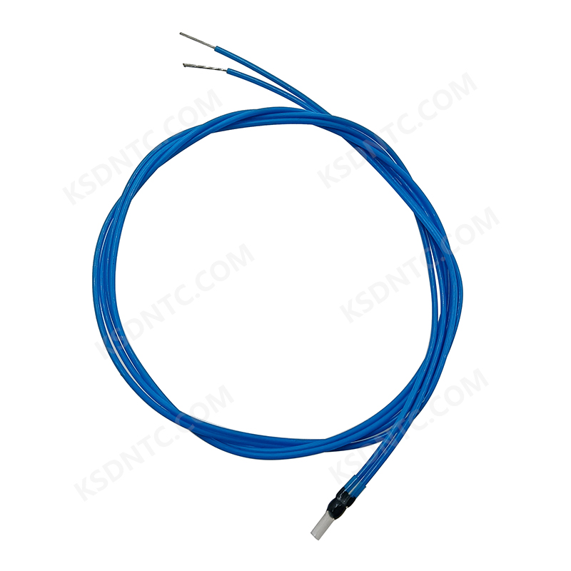P01 Thermistor